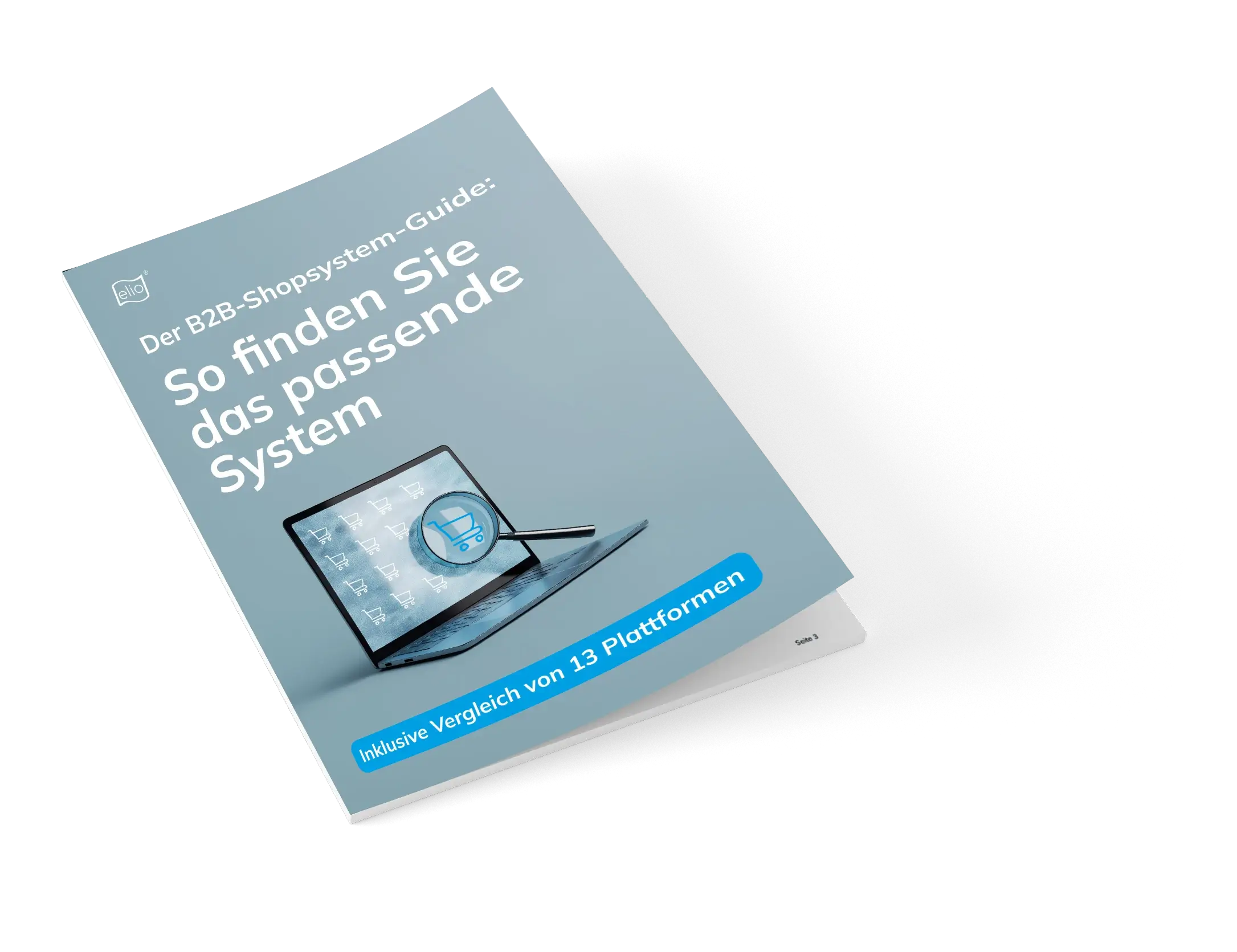 Mockup des Whitepapers 'B2B-Shopsystem-Guide'