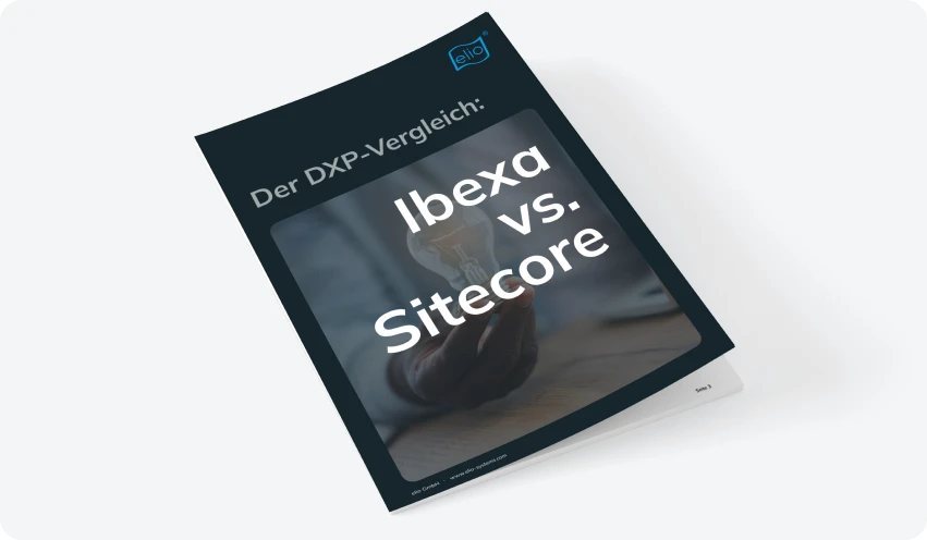 Mockup des Whitepapers 'B2B-Shopsystem-Guide'