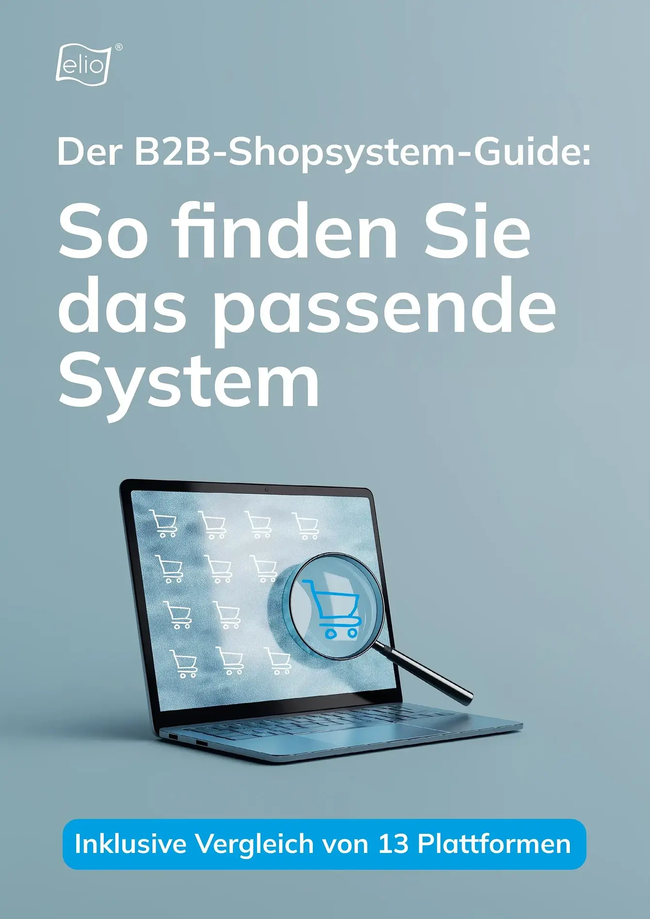 Seite aus dem elio-Whitepaper ‚Der B2B-Shopsystem-Guide' mit Inhaltsverzeichnis und Einleitung.