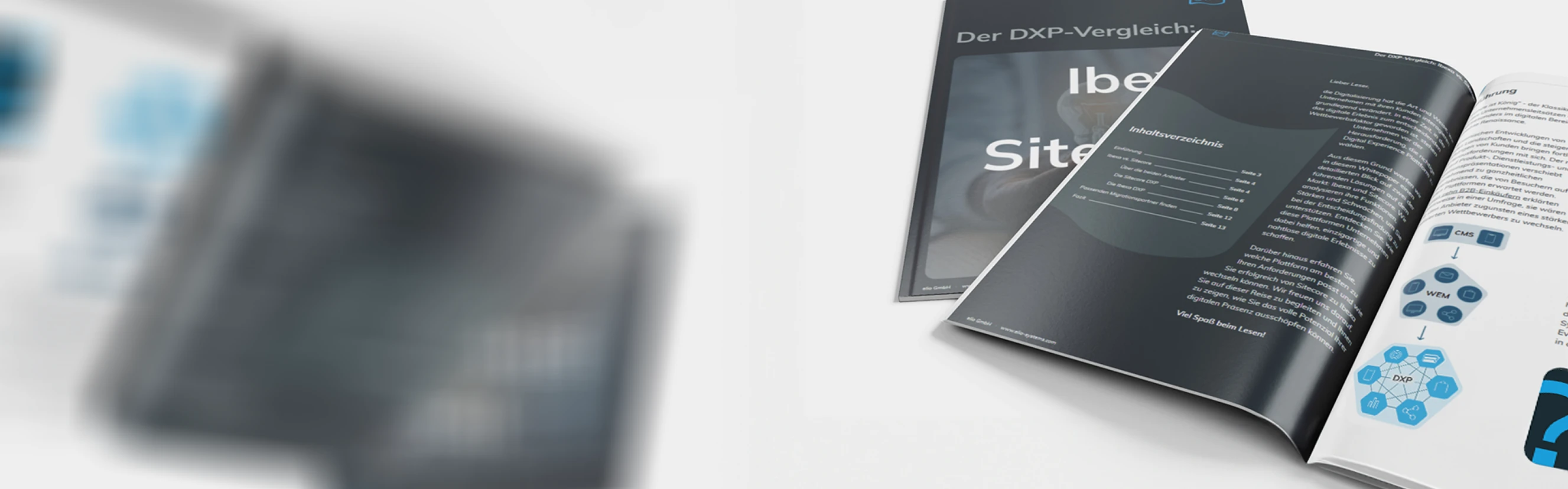 Mockup des Whitepapers 'ibexa vs. Sitecore'