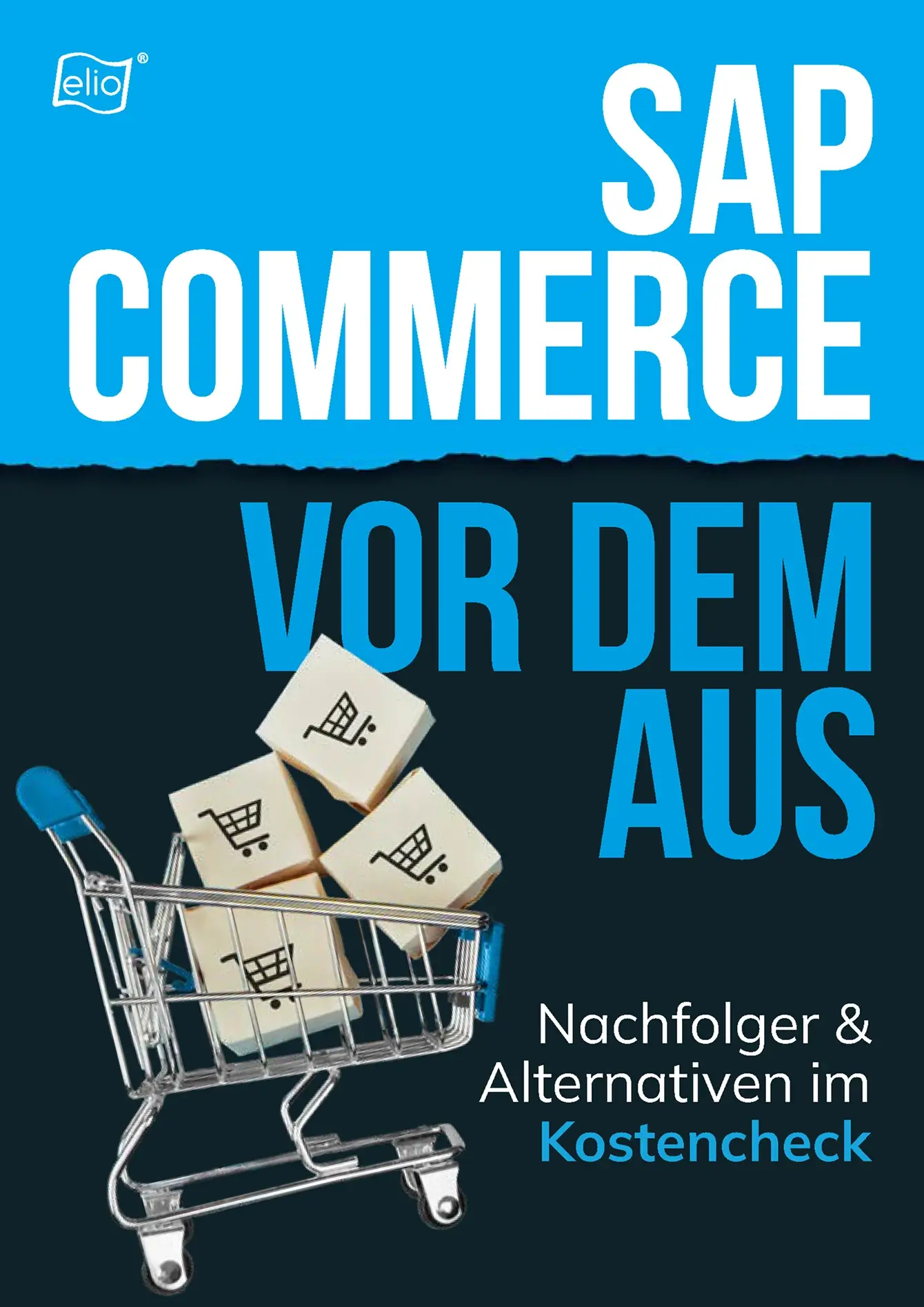 Seite aus dem elio-Whitepaper ‚SAP Commerce vor dem Aus‘ mit Inhaltsverzeichnis und Einleitung.