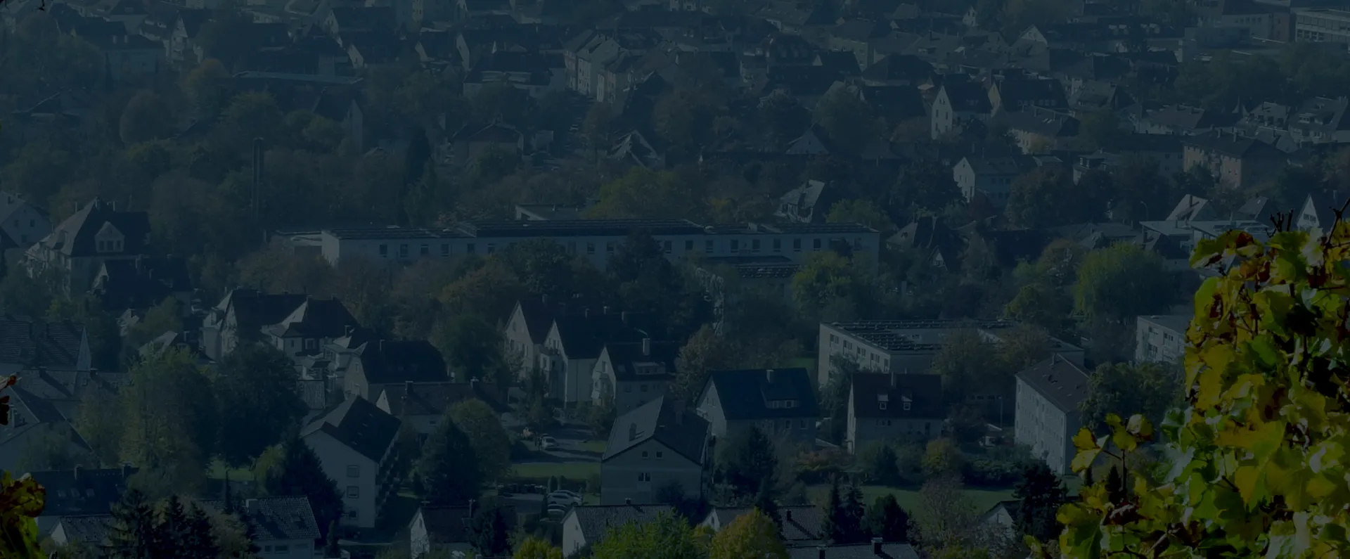 Foto von Heilbronn aus den Weinbergen auf die Stadt fotografiert