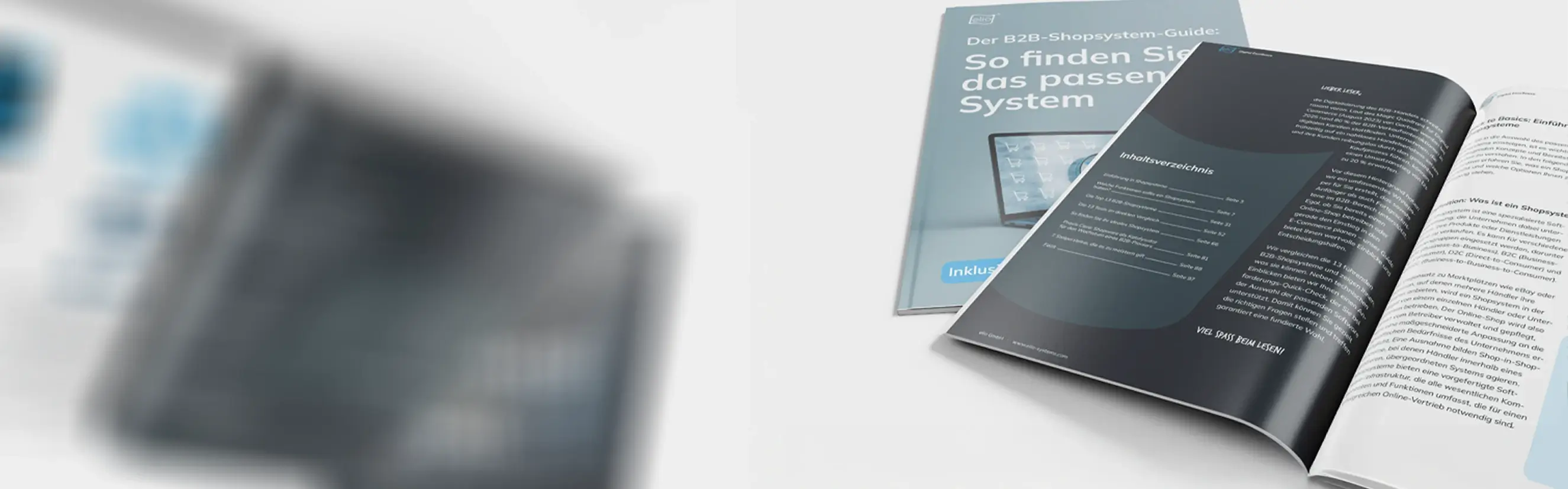 Mockup des Whitepapers 'B2B-Shopsystem-Guide'