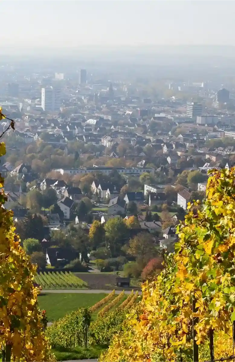 Aufnahme aus den Weinbergen von Heilbronn