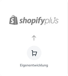 eigenentwicklung-zu-shopify-plus