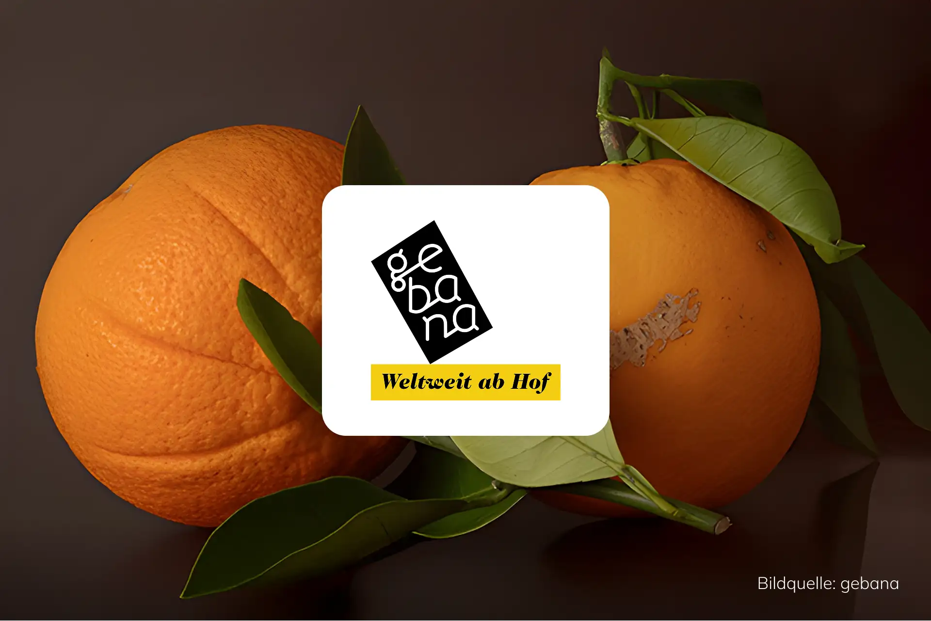 gebana-success-story-heroshot